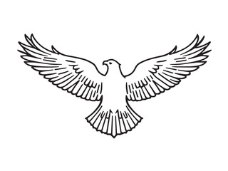 Eagle line art illustration