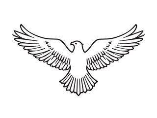 Eagle line art illustration