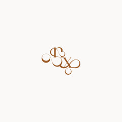XN letter luxury minimalist logo design wedding initial concept caligraphic style monogram