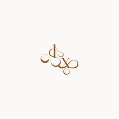 XL letter luxury minimalist logo design wedding initial concept caligraphic style monogram