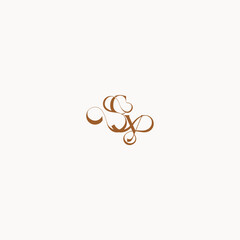 YC letter luxury minimalist logo design wedding initial concept caligraphic style monogram