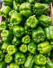 A close-up view of many vibrant green bell peppers densely packed together in a wooden crate.