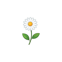 Minimalist White Daisy with Green Stem and Leaves