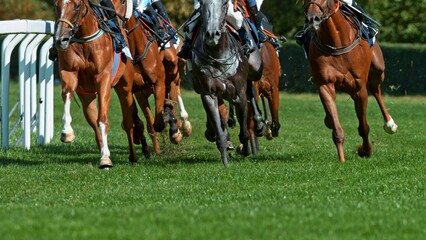 Horse racing outdoor derby in detail of horses legs. Outdoor sport and competition.