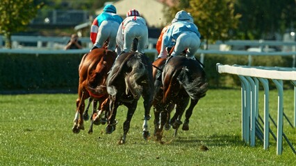 Horse racing outdoor derby with jockeys heading to finish line. Outdoor sport and competition.