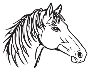 Horse line art illustration