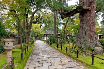 Obraz premium Japanese garden path lined with trees
