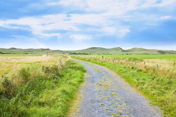IRELAND - WILD IRISH LANDSCAPE WITH SAND DUNES - Nature trail to the beaches and the ocean - Scenic rural landscape with a path winding through green fields and grassy meadows (Mullagmore - Ireland)