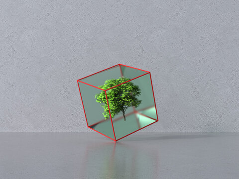 3d rendering of tree inside transparent cube symbolizing sustainability