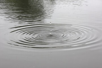 Ripples spreading outward from a drop of water in a still pond