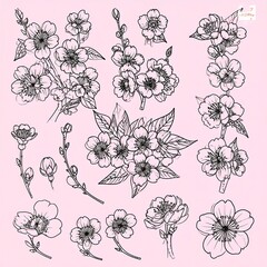 Elegant floral line art collection