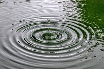 Ripples spreading outward from a water drop impact