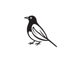Magpie line art illustration