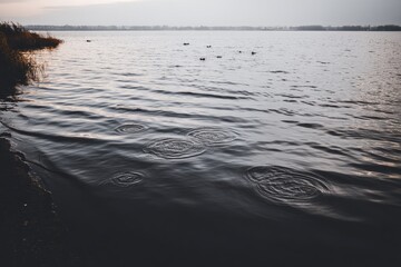 Rippled water surface with concentric circles, calm lake scene