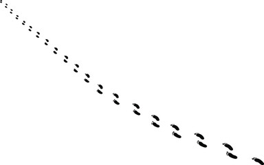 Animal tracks on white background