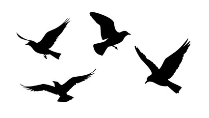 Diverse bird silhouettes in flight and perched flying