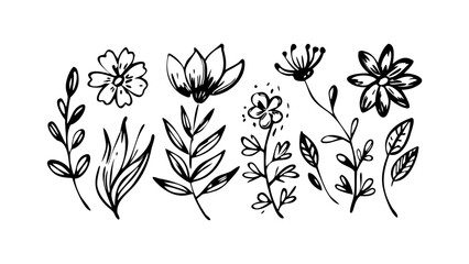 Hand Drawn Botanical Elements floral leaves