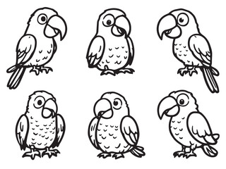 Parrot Line Art Illustration