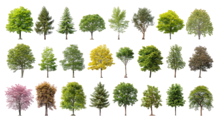 Collection of Isolated Green Trees with Various Foliage and Colors