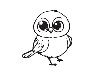 Robin Line Art Illustration