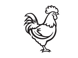 Rooster Line Art Illustration