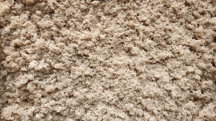 Beige Artificial Grass, Beige Artificial Grass Texture, Decorative Faux Moss, Decorative Faux Moss Wall, Simple Texture