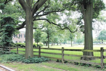 Parkland scene with trees, fence, and buildings