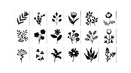 Collection of botanical illustrations plants flowers