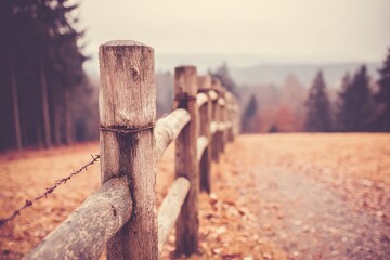 Rustic wooden fence in autumnal landscape