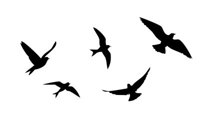 Flock of birds in flight and perched flying silhouette