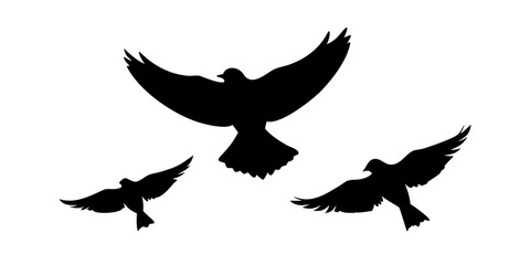 Flying Sparrows Silhouette birds illustration