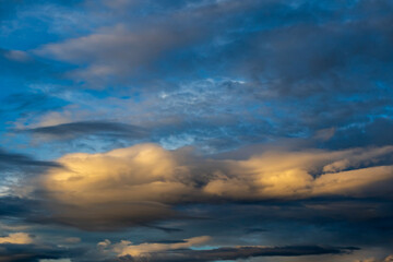 Golden clouds illuminated at sunrise against a blue sky