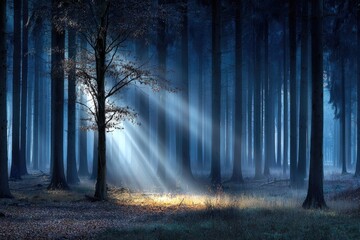 Mystical forest bathed in ethereal sunlight