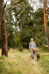 person walks two dogs on a path in a forest or park. canine are on leashes, and the woman is wearing hat. Pet training with handler, professional dog walker, dog sitter. animals in nature.