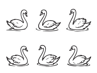 Obraz premium Swan Line Art Illustration