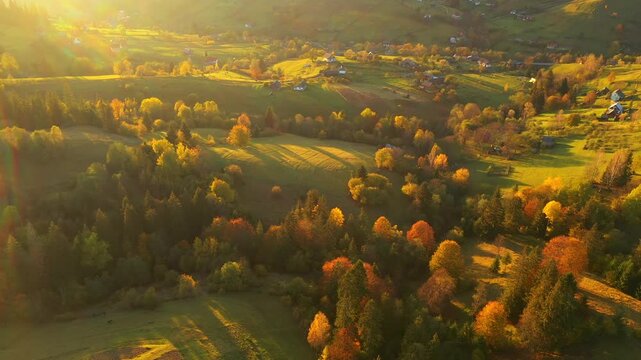 Majestic bird's eye view of a rolling countryside with autumn trees shining in the sun. Carpathian mountains, Ukraine, Europe. UHD 4k video.