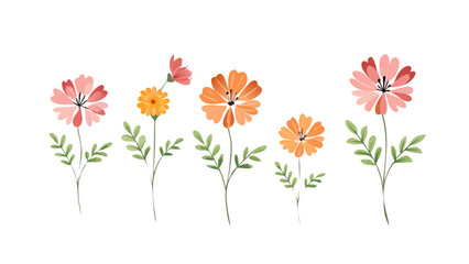 Pink and orange flowers with green leaves floral nature