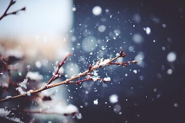 Snowy branch with falling snow