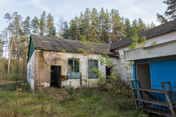 Abandoned House in Lush Forest - the abandoned pioneer camp of the USSR
