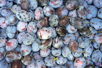 plums