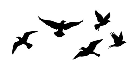 Black Bird Silhouette flying wings