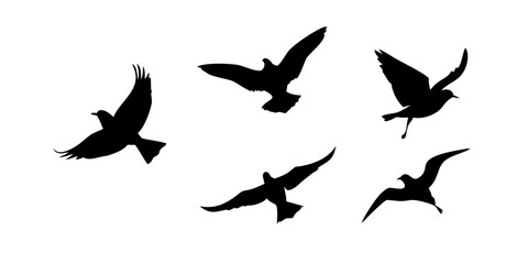 Black Butterfly Silhouette insect minimal