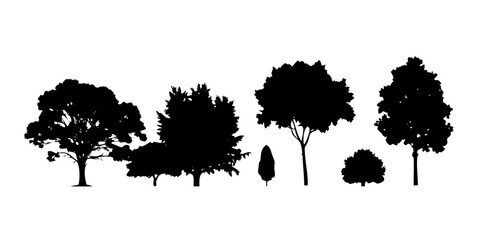 Black silhouette of a tortoise turtle reptile