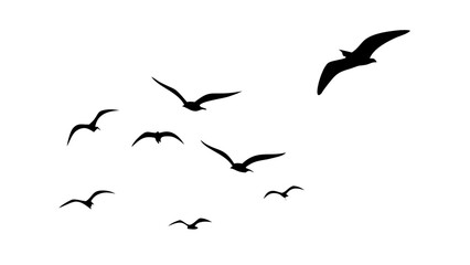 Diverse flock of flying birds nature wildlife