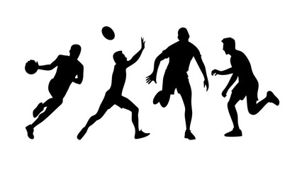 Elegant Swan Silhouette bird water bird