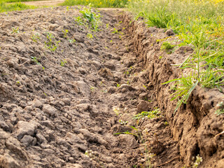 Richly Tilled Soil Preparing for Vibrant Crops in a Spring Field, Offering Nature's Nurturing Embrace