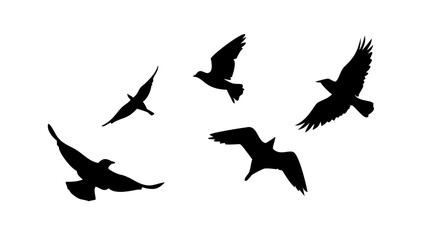 Flock of Birds in Flight and Perched flying silhouette