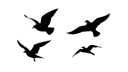 Flock of Birds in Flight and Perched flying silhouette