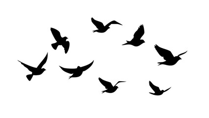 Flock of birds in flight and perched flying silhouette