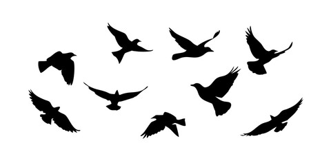 Flock of Birds in Flight flying silhouette